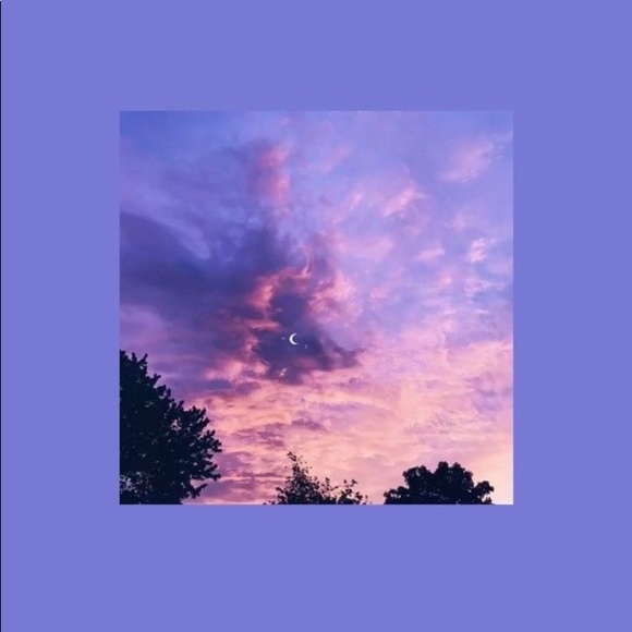 Meet your Posher, Hadleigj - Picture 1 of 1